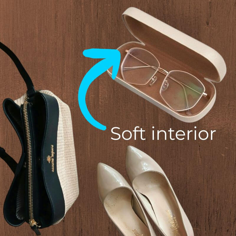 WhistleClean Glasses Case